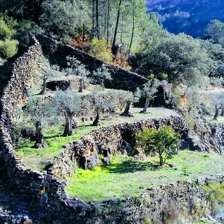 La Zambrana Rural House 度假居