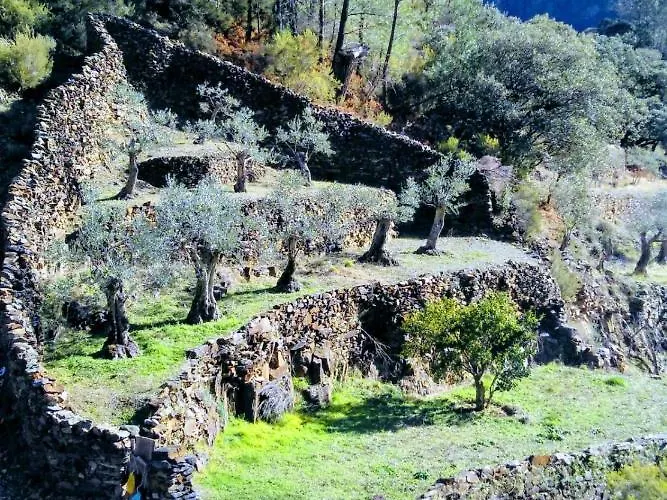 Stunning In W/ 4 Bedrooms&outdoor Swimming Pool Сasa de vacaciones