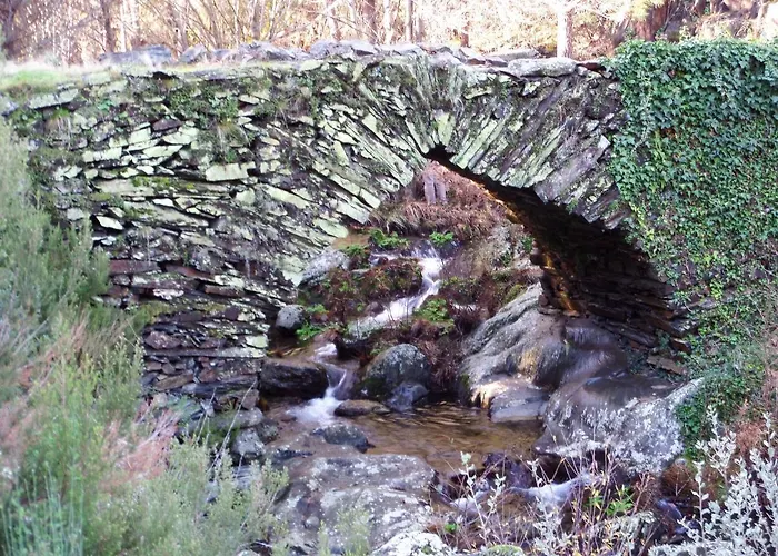 Stunning In W/ 4 Bedrooms&outdoor Swimming Pool