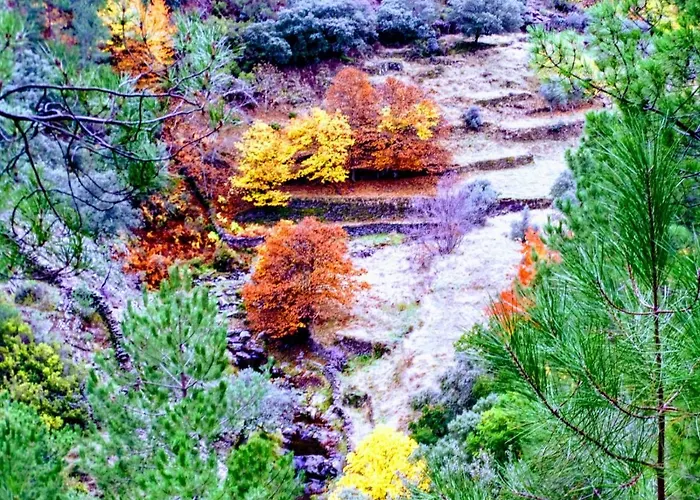 Сasa de vacaciones Stunning In W/ 4 Bedrooms&outdoor Swimming Pool Erías